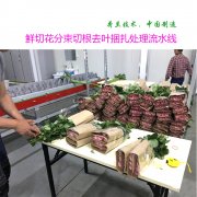 鮮花自動(dòng)打包處理流水線(xiàn)